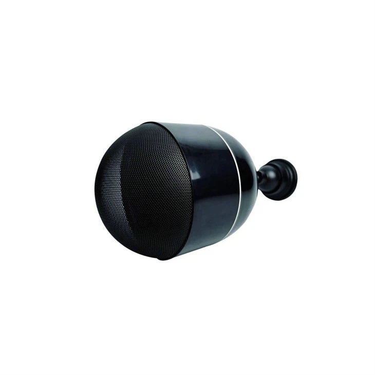 Oval Ball Speaker