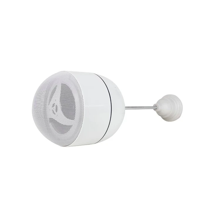Oval Ball Speaker