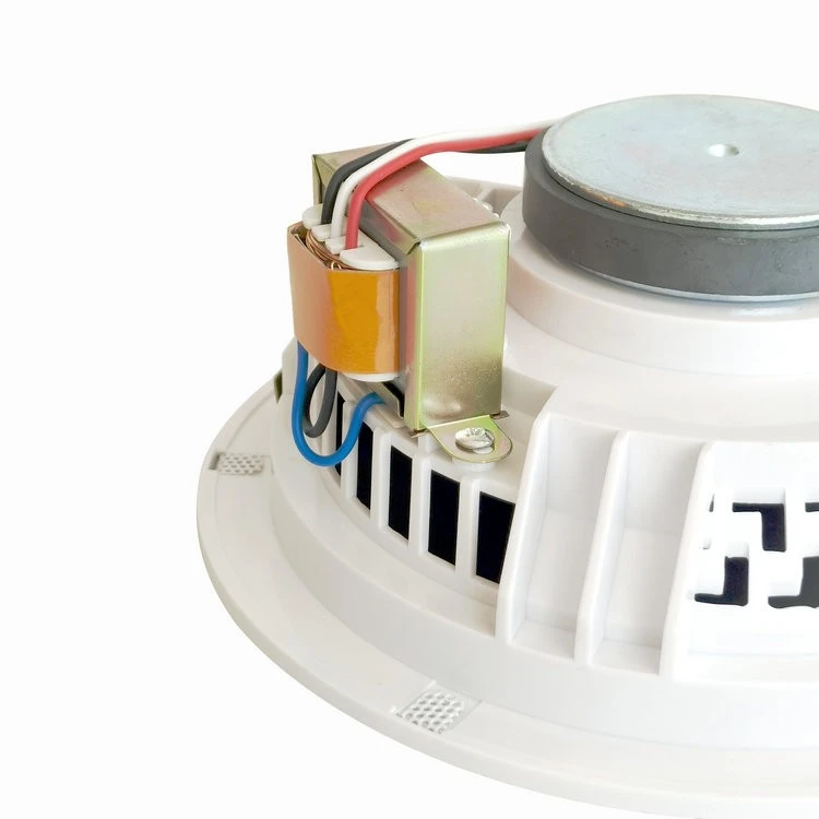 Pa Ceiling Speaker